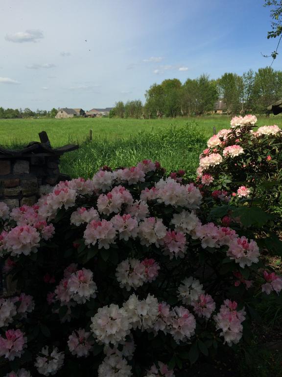 B&B De Lotus Hoevelaken Екстериор снимка